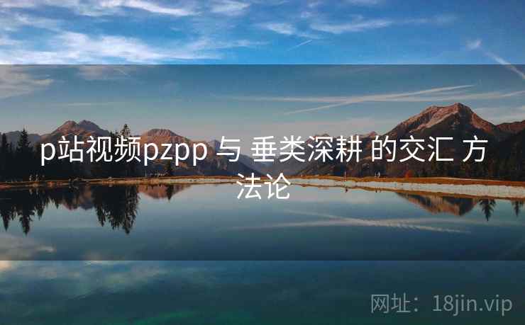 p站视频pzpp 与 垂类深耕 的交汇 方法论