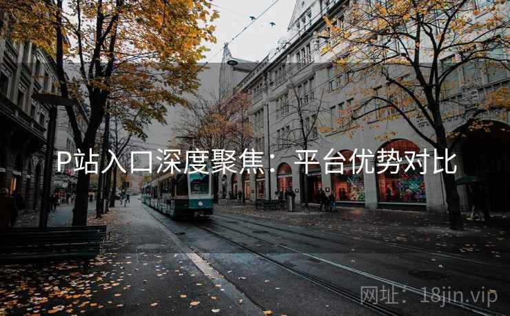 P站入口深度聚焦：平台优势对比