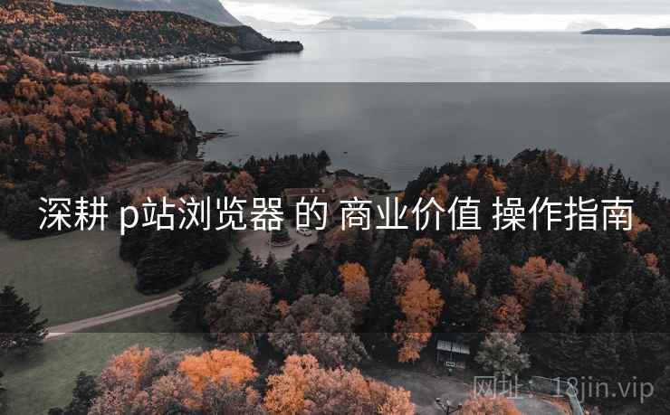 深耕 p站浏览器 的 商业价值 操作指南 深耕 p站浏览器 的 商业价值 操作指南