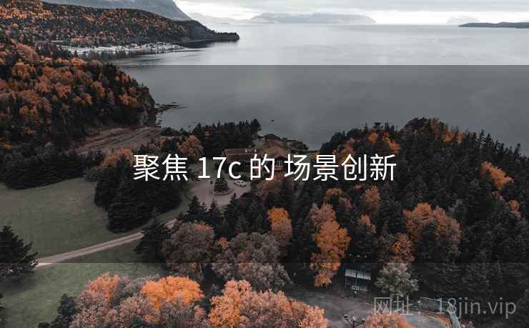 聚焦 17c 的 场景创新 聚焦 17c 的 场景创新